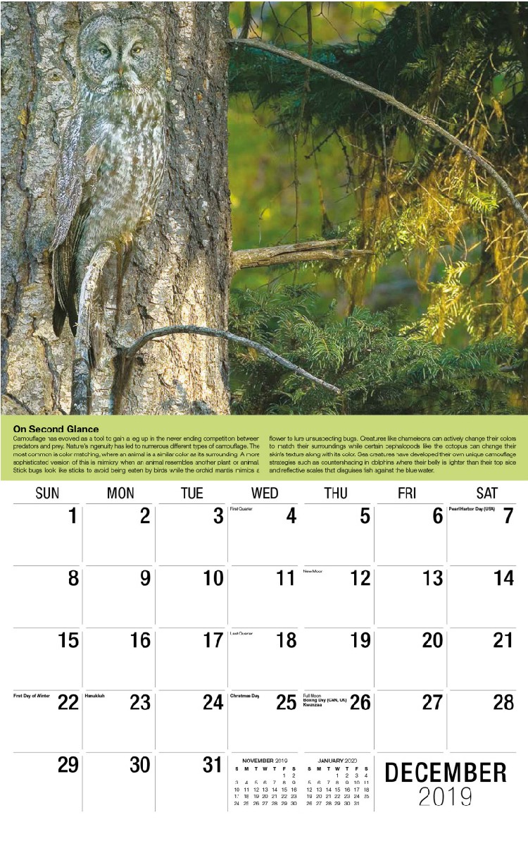 Planet Earth Calendar - December
