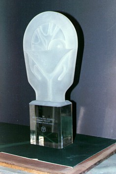 Csulpted Acrylic trophy